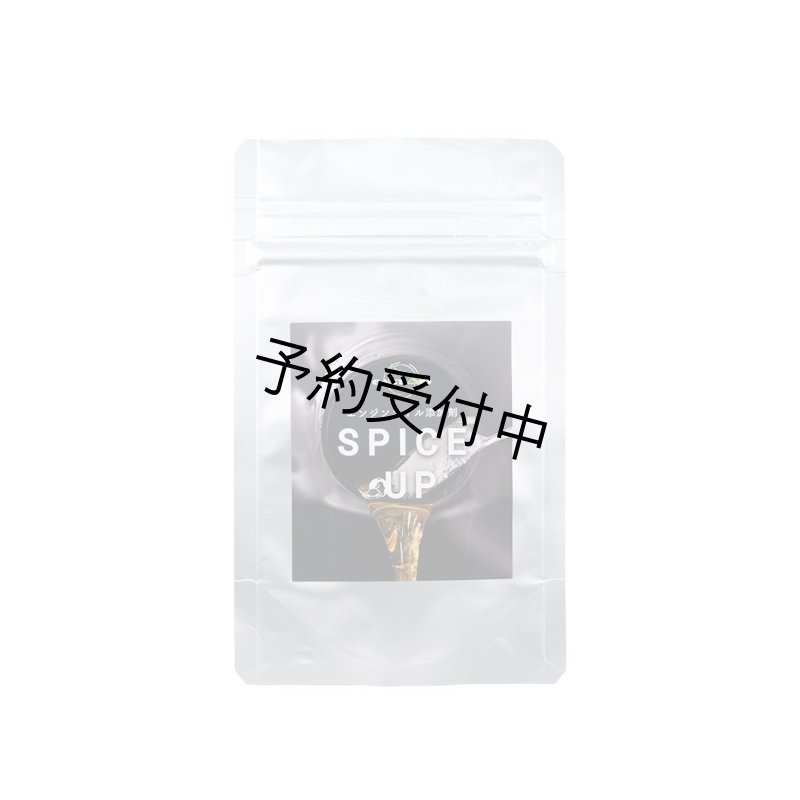 画像1: エンジン添加剤「スパイスアップ」4g (1)