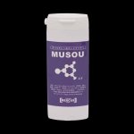 画像1: ロングライフポリエチレンホットワックス【無双】60g ホットワックス 高耐久ポリエチレンホットワックス (1)